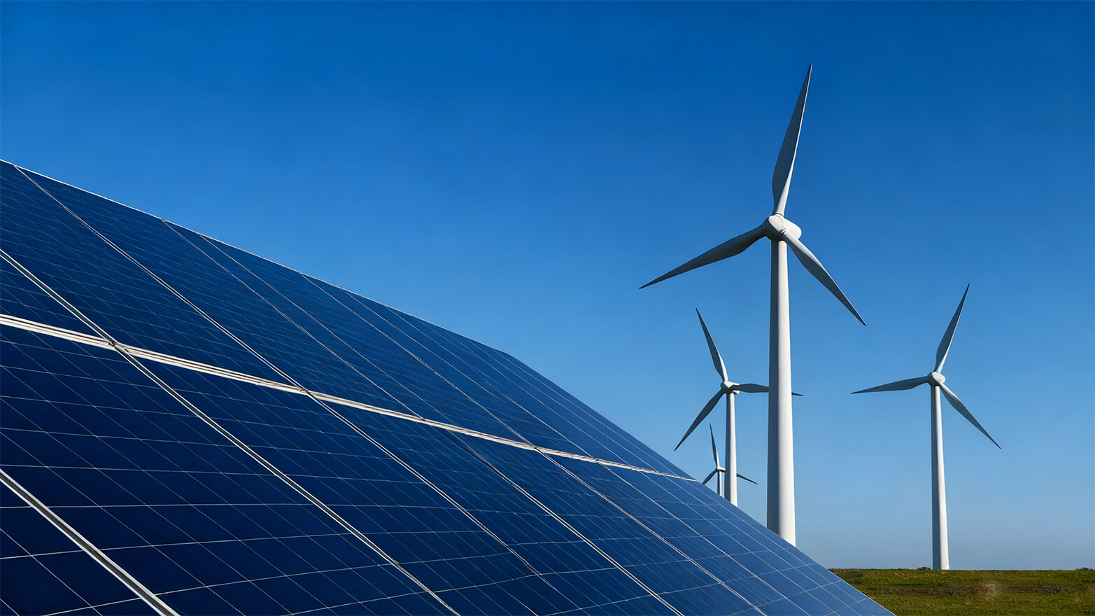 Powering Every Plant with Unwavering Support​